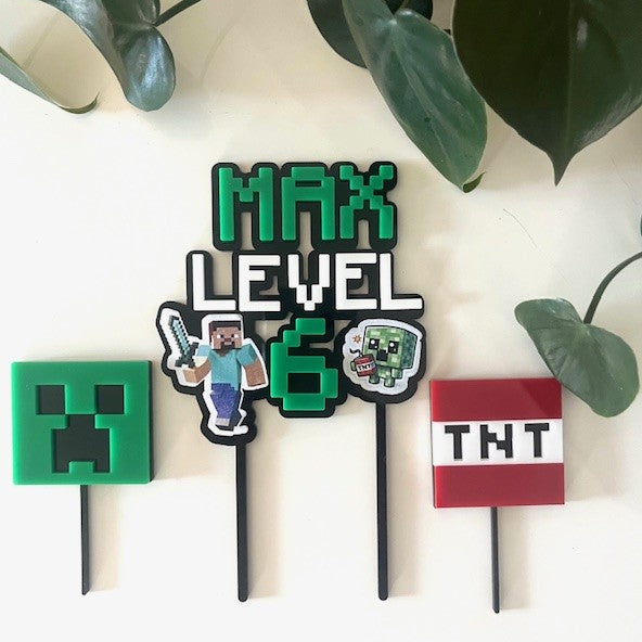 Minecraft-themed birthday cake toppers with 'MAX LEVEL 6' text on a white background with green leaves.