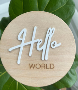 Wooden Baby Monthly Milestone Discs