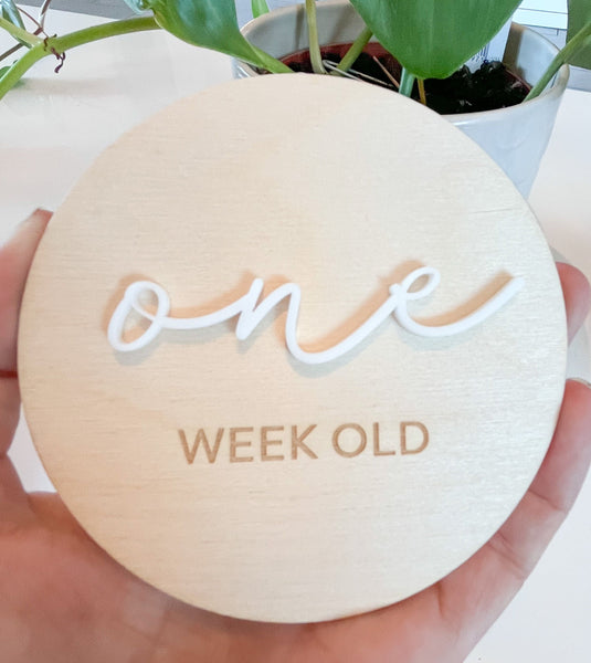 Wooden Baby Milestone Discs Set of 16